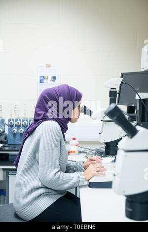 Una donna musulmana utilizza le attrezzature scientifiche in un laboratorio di ricerca, presso la University of Sussex indossando un tradizionale hijab. Foto Stock