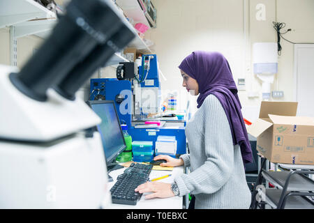 Una donna musulmana utilizza le attrezzature scientifiche in un laboratorio di ricerca, presso la University of Sussex indossando un tradizionale hijab. Foto Stock