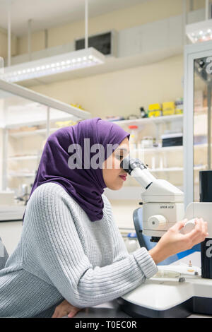 Una donna musulmana utilizza le attrezzature scientifiche in un laboratorio di ricerca, presso la University of Sussex indossando un tradizionale hijab. Foto Stock