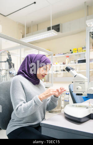 Una donna musulmana utilizza le attrezzature scientifiche in un laboratorio di ricerca, presso la University of Sussex indossando un tradizionale hijab. Foto Stock