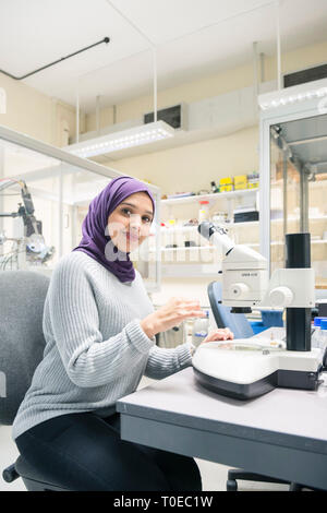 Una donna musulmana utilizza le attrezzature scientifiche in un laboratorio di ricerca, presso la University of Sussex indossando un tradizionale hijab. Foto Stock