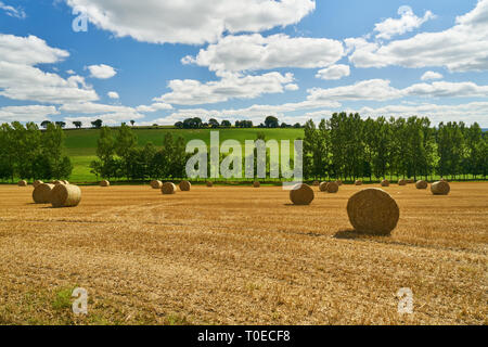 Campo dopo il raccolto in estate nella parte anteriore del cielo come sfondo Foto Stock