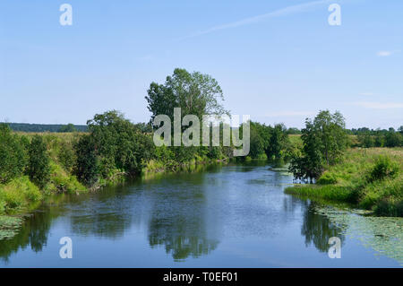 Paesaggio estivo in una giornata di sole. Il fiume scorre tra piccoli alberi e prati Foto Stock