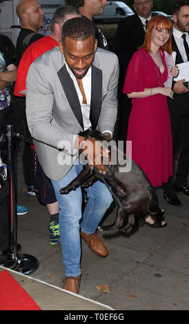 Settembre 07, 2016 - Londra, Inghilterra, Regno Unito - Daily Mirror e RSPCA eroe animale Awards 2016, Grosvenor House Hotel - tappeto rosso arrivi mostra fotografica: Richard Foto Stock