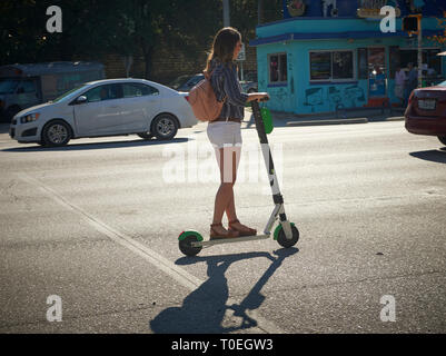 Equitazione donna un elettrico e scooter a noleggio, South Congress Avenue, Austin, Texas Foto Stock