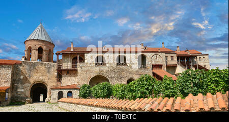 Foto e immagini di vigna e refettorio del medievale Alaverdi St George Cattedrale e il complesso del convento, XI secolo, vicino a Telavi, Georgia Foto Stock