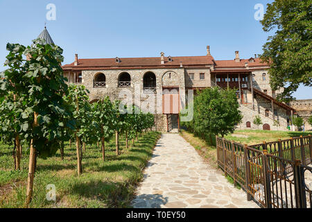 Foto e immagini di vigna e refettorio del medievale Alaverdi St George Cattedrale e il complesso del convento, XI secolo, vicino a Telavi, Georgia Foto Stock