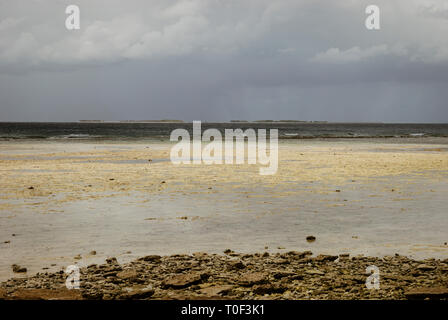 Australia paesaggi. Strade, deserto, prati, trasporti, paesaggi Foto Stock