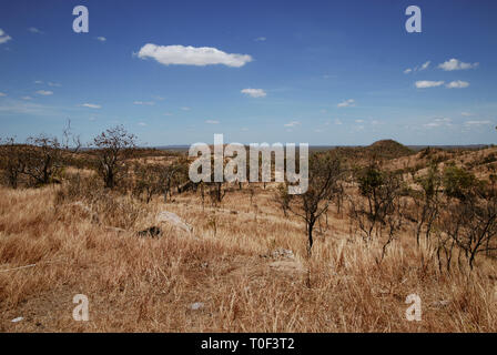 Australia paesaggi. Strade, deserto, prati, trasporti, paesaggi Foto Stock