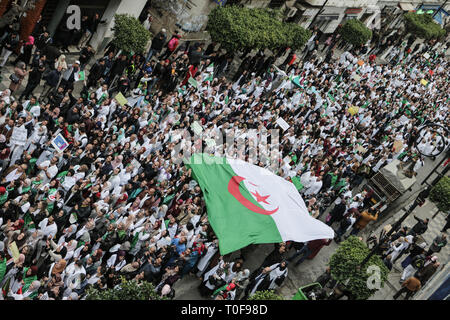 Algeri, Algeria. Xix Mar, 2019. Algerina di professionisti sanitari onda gigante di una bandiera nazionale come segno di protesta contro il Presidente algerino Abdelaziz Bouteflika dopo la sua decisione di rinviare le elezioni presidenziali dell'aprile 2019 e di rimanere al potere dopo il suo termine corrente termina per un non meglio specificato periodo transitorio. Credito: Farouk Batiche/dpa/Alamy Live News Foto Stock