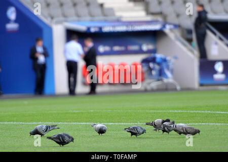 Praga, Repubblica Ceca. Xix Mar, 2019. La UEFA Europei Under-21 campionato, Repubblica Ceca vs Germania, 1:1 Praga Repubblica Ceca, 23 Giugno, 2015. I piccioni in campo prima della partita Europei Under-21 campionato tra Germania e Repubblica Ceca. Credito: Slavek Ruta/ZUMA filo/Alamy Live News Foto Stock