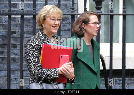 Londra, UK, UK. Xix Mar, 2019. Andrea Leadsom - signore Presidente del Consiglio e il Leader della House of Commons (L) e la Baronessa Evans - signore Privy Seal e Leader della House of Lords sono visto uscire dal n. 10 di Downing Street dopo aver frequentato il settimanale riunione del gabinetto. Credito: Dinendra Haria/SOPA Immagini/ZUMA filo/Alamy Live News Foto Stock