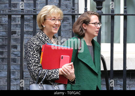 Andrea Leadsom - signore Presidente del Consiglio e il Leader della House of Commons (L) e la Baronessa Evans - signore Privy Seal e Leader della House of Lords sono visto uscire dal n. 10 di Downing Street dopo aver frequentato il settimanale riunione del gabinetto. Foto Stock