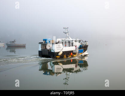 Crosshaven, Co. Cork, Irlanda. Xx marzo, 2019.peschereccio Tricky Business capi tornare indietro al mare di nebbia, dopo lo scarico la sua cattura di eglefino e il nasello a Crosshaven, Co. Cork, Irlanda. Credito: David Creedon/Alamy Live News Foto Stock