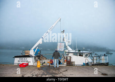 Crosshaven, Co. Cork, Irlanda. Xx marzo, 2019. Equipaggio del peschereccio Tricky Business offload le catture di eglefino e di nasello al molo Crosshaven, Co. Cork, Irlanda. Credito: David Creedon/Alamy Live News Foto Stock