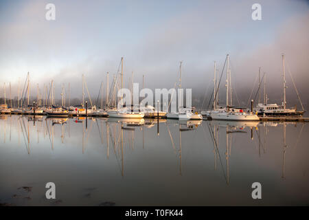 Crosshaven, Co. Cork, Irlanda. 20 Mar, 2019. Nebbia mattutina inizia a dissipare con il Rising Sun della marina presso il Royal Cork Yacht Club Crosshaven, Co. Cork, Irlanda.- credito Immagine: David Creedon/Alamy Live News Foto Stock