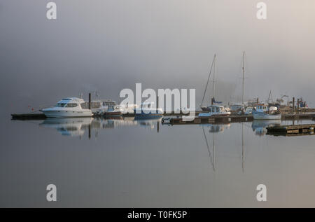 Crosshaven, Co. Cork, Irlanda. 20 Mar, 2019. Nebbia mattutina inizia a dissipare con il Rising Sun della marina presso il Royal Cork Yacht Club Crosshaven, Co. Cork, Irlanda.- credito Immagine: David Creedon/Alamy Live News Foto Stock