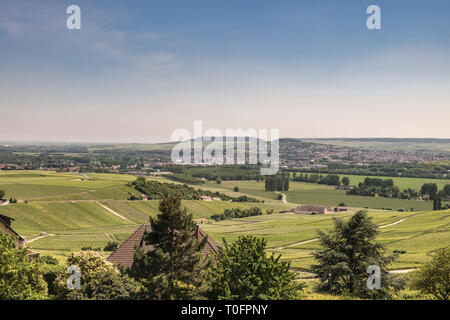 Hautvillers, La Champagne, Francia Foto Stock