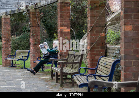 Signora anziana seduto su una panchina nel parco leggendo il giornale del mattino , Portsmouth, Regno Unito Foto Stock