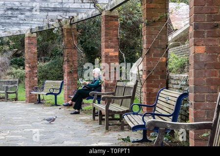 Signora anziana seduto su una panchina nel parco leggendo il giornale del mattino , Portsmouth, Regno Unito Foto Stock