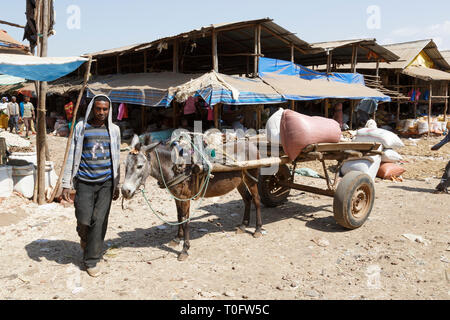 Bahir Dar, Etiopia, 14 Febbraio 2015: un asino carrello con un agricoltore in attesa su un mercato per il trasporto di merci Foto Stock