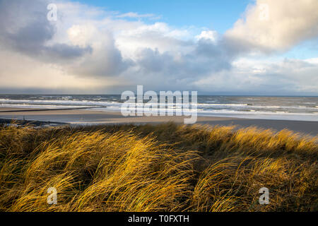 Isola Wangerooge, Ostfriesland, il Wadden Sea, west beach in tempesta, passeggiata sulla spiaggia, dune,Frisia orientale, nella Germania del nord, Costa del Mare del Nord, Foto Stock