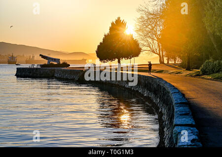 Pareggiatore, sunrise, seawall, Stanley Park, Vancouver, British Columbia, Canada. Foto Stock