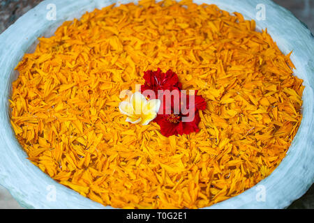 Vaso è riempito con acqua e decorate con foglie di colore arancione e bellissimi fiori rossi nel giardino tropicale. Isola Bali, Indonesia . Close up, vista dall'alto Foto Stock