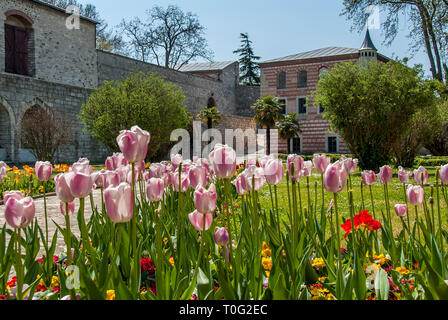 Istanbul, Turchia, 12 Aprile 2007: I Tulipani di Topkapi Palace Foto Stock