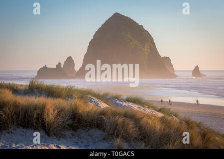 Luce solare serale su Haystack Rock e Cannon Beach, Oregon, Stati Uniti Foto Stock