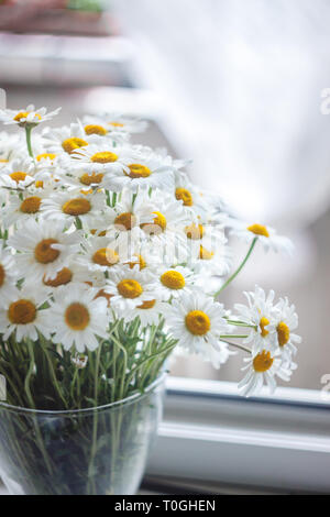 Bouquet di margherite bianche in un vaso vicino alla finestra, su uno sfondo bianco. Foto Stock