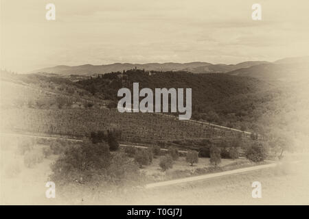 Un vigneto nella regione Toscana, Italia. Foto Stock