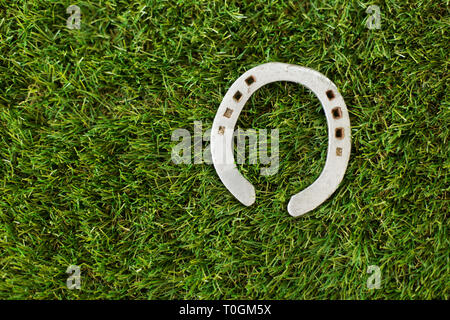 Il ferro di cavallo in erba artificiale Foto Stock