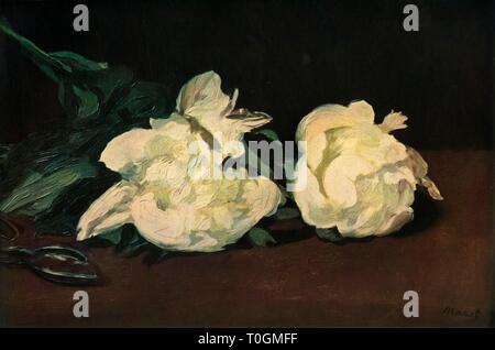 "Bianco Le Peonie', 1864, (1937). Creatore: Edouard Manet. Foto Stock