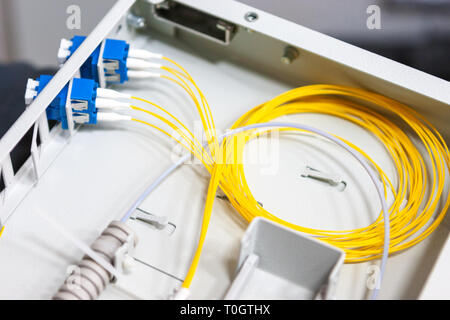 Lavoratore di comunicare il cavo a fibra ottica a opto box. l'installazione di nuove apparecchiature di rete. Foto Stock