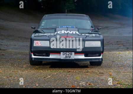 Chevy Monte Carlo Nascar Racing vettura guidata da Dale Earnhardt Foto Stock