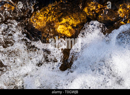 Close-up di gorgogliamento rapids; Sud Arkansas River; vicino al piccolo paese di montagna di salida, Colorado, STATI UNITI D'AMERICA Foto Stock