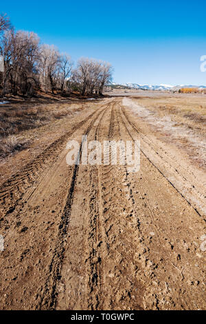 Terreni fangosi tracce di pneumatici su un ranch strada sterrata; central Colorado; USA Foto Stock