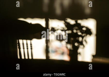 Luce del sole di mattina progetti di ombre in legno di rovere sedia di mandrino e bouquet di fiori sulla parete Foto Stock