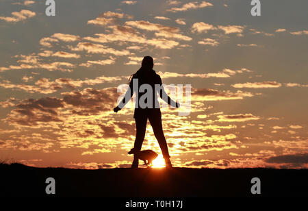 Silhouette ragazza felice e piccolo cane sullo sfondo di incredibile tramonto Cielo e nubi Foto Stock