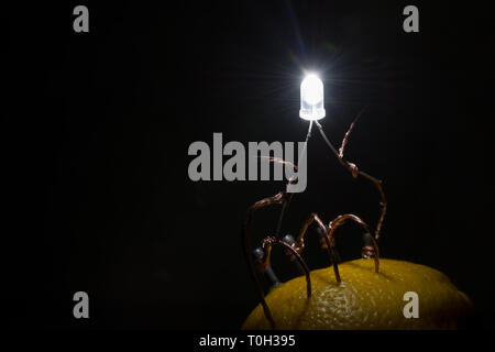 Agrumi, limone, calce batteria dimostrando un alternativa di origine organica di elettricità come fucina di celle di batterie illuminazione luce LED Foto Stock