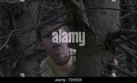 Spaventato ragazzo prudente nascondersi dietro a un albero in un terribile foresta secca, il ragazzo è molto spaventato nella foresta Foto Stock