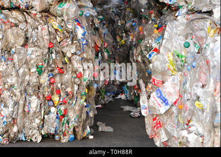 Premuto di bottiglie in plastica. Compattare Rifiuti in plastica presso l'impianto di riciclaggio. Pile di compressa di bottiglie in plastica. Kiev, Ucraina, Kyivmyskvtorresursy impianto Foto Stock