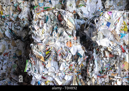 Pile di carta pressata pronto per il riciclaggio. Le scorte di carta, vecchi giornali e riviste presso l'impianto di trattamento dei rifiuti. Concetto di riciclaggio. Foto Stock