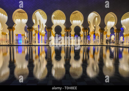 Abu Dhabi - 8 dicembre 2018. Bella vista notturna della Sheikh Zayed Grande Moschea di Abu Dhabi, negli Emirati Arabi Uniti. Foto Stock