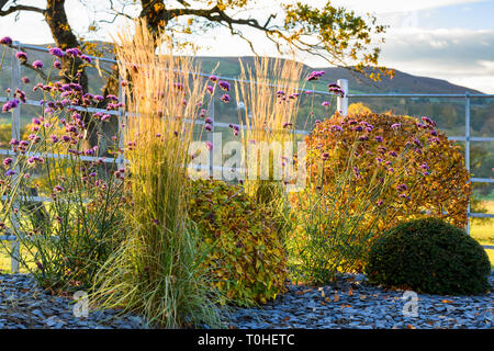 Colore di autunno nel bellissimo giardino privato - design elegante e contemporaneo, paesaggio, semina e scaglie di ardesia sul confine (rurale Yorkshire, Inghilterra, Regno Unito) Foto Stock