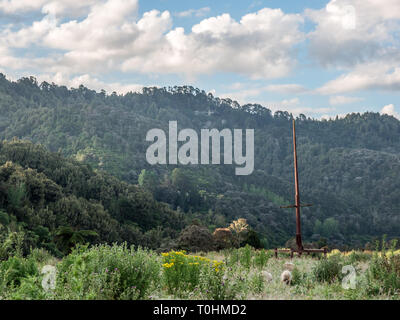 Rongo Nui, Hauhau palo cerimoniale, Maraekowhai, Whanganui River, Ruapehu District, Nuova Zelanda Foto Stock