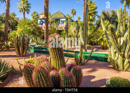 Giardino botanico Jardin Majorelle di Marrakech Foto Stock