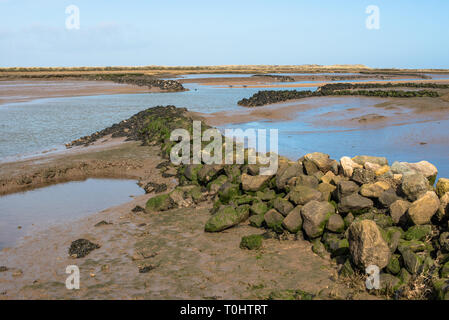 Vista del fangflat con bassa marea dal percorso nazionale del Norfolk Coast Trail vicino a Burnham Overy Staithe, East Anglia, Inghilterra, Regno Unito. Foto Stock