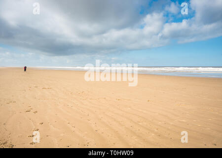 Spiaggia sabbiosa a Holkham Bay, Costa North Norfolk, East Anglia, Inghilterra, Regno Unito. Foto Stock